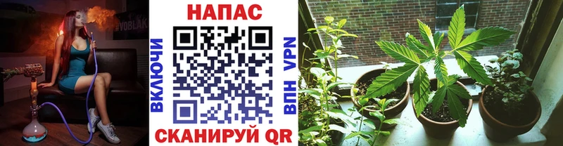 Наркошоп Новомичуринск A-PVP  OMG ТОР  Канабис  Меф  Героин 
